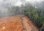 Terrain dependency of deforestation in Borneo