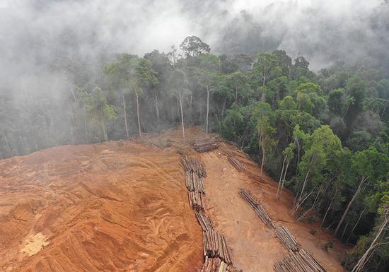 Terrain dependency of deforestation in Borneo